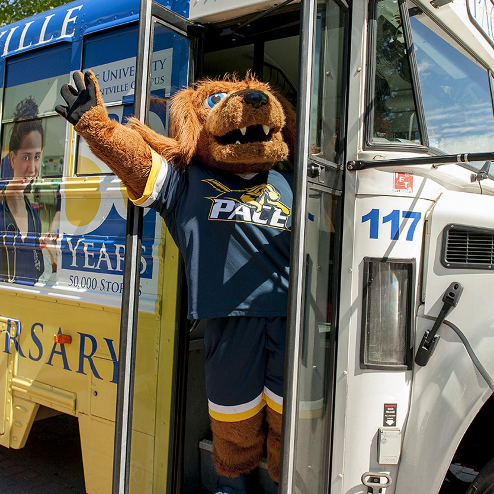 's mascot T-bone waving from a  shuttle bus.