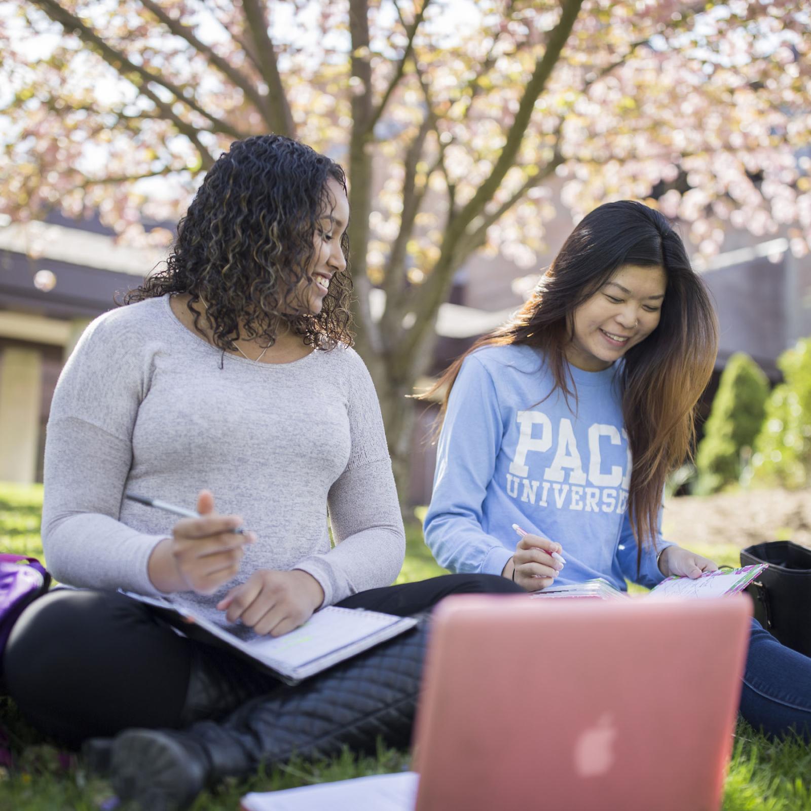 two  students studying on the lawn of the Pleasantville Campus in Westchester